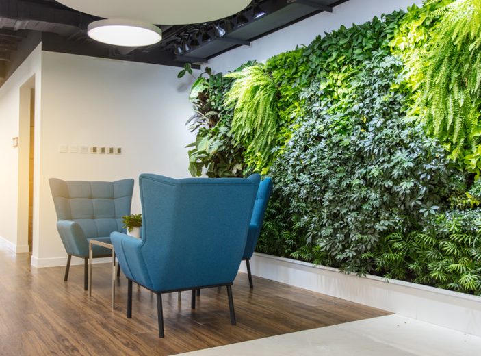Embracing Nature: Illuminating Offices with Biophilic Design